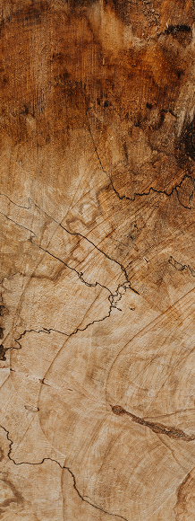 Wood